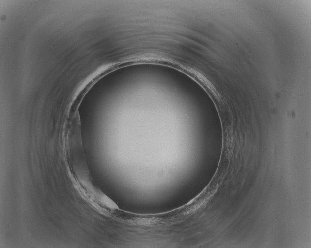 X0000082721134200702091806