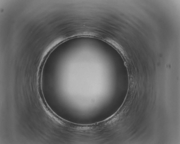 X0000082721135200702091806