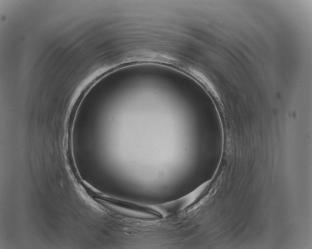 X0000082721136200702091806