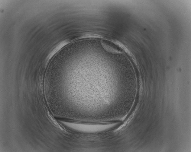 X0000082721137200702091806