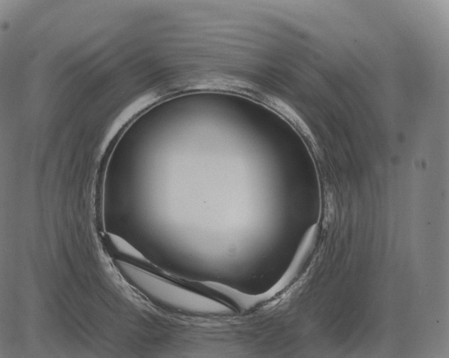 X0000082721138200702091806