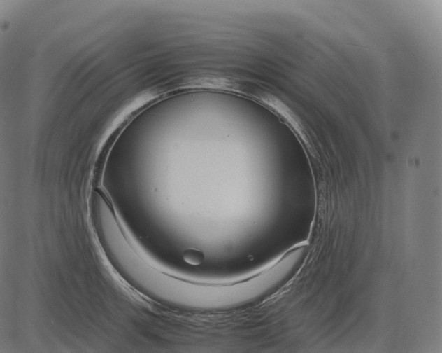 X0000082721139200702091806