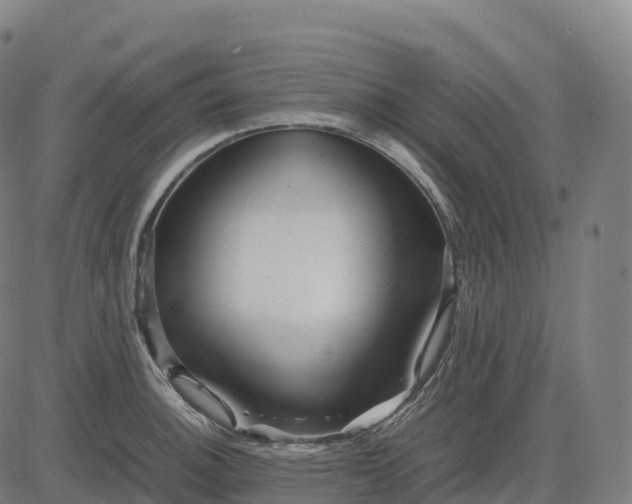 X0000082721140200702091806