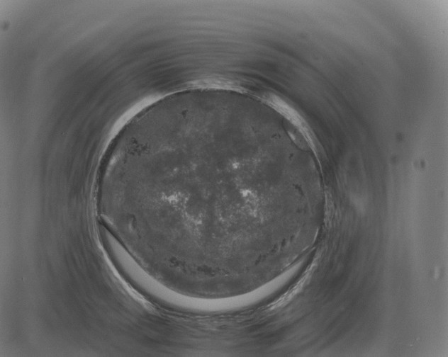 X0000082721141200702091806