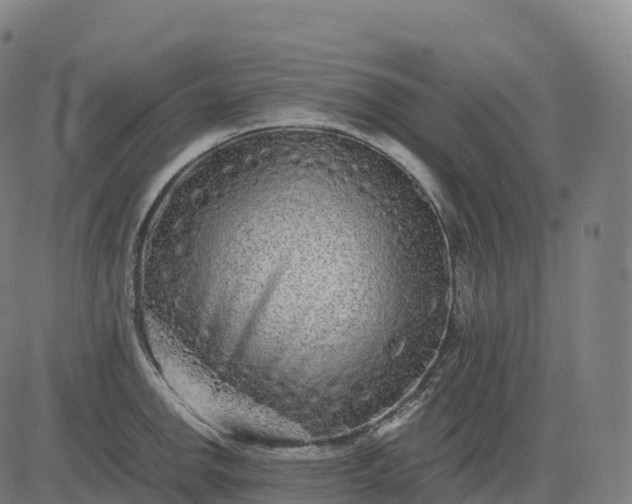 X0000082721142200702091806