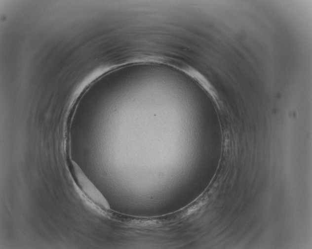 X0000082721143200702091806