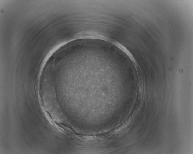 X0000082721144200702091806