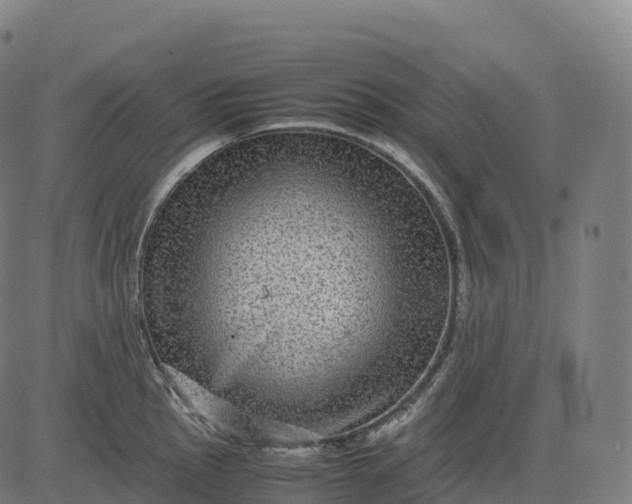 X0000082721145200702091806