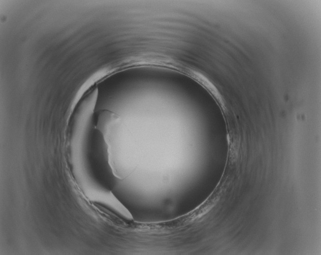 X0000082721146200702091806