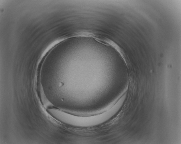 X0000082721147200702091806