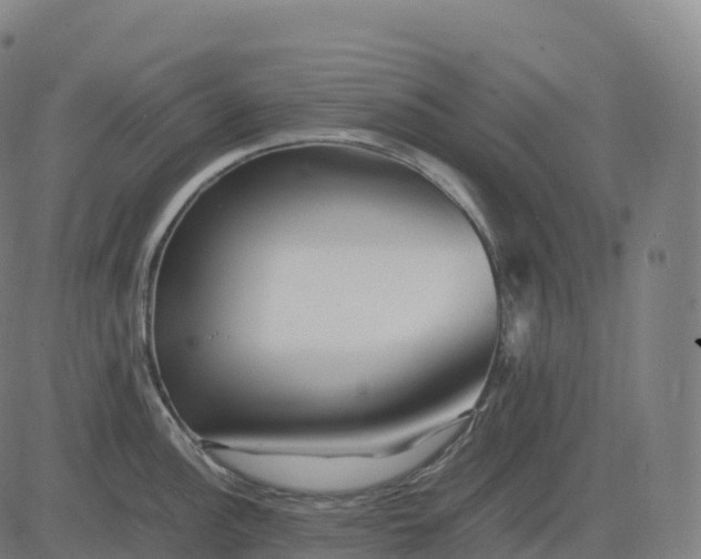 X0000082721148200702091806