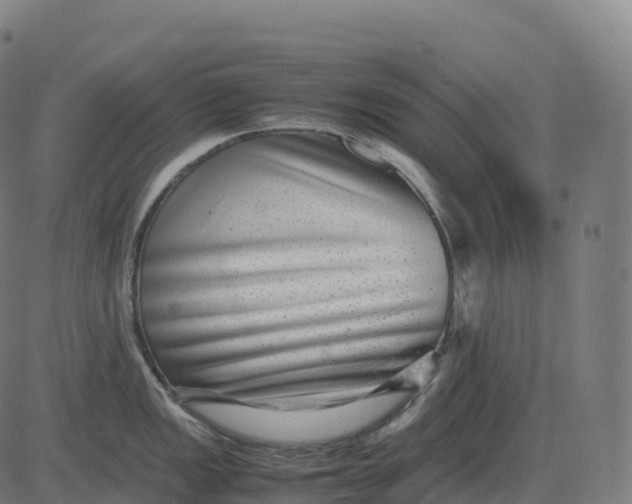 X0000082721149200702091806