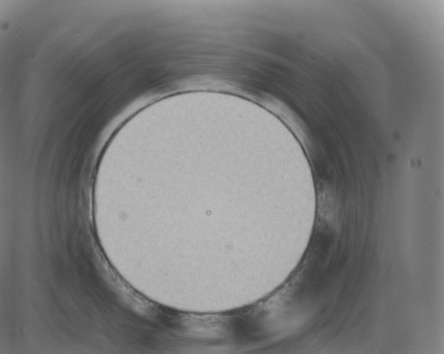 X0000082721150200702091806