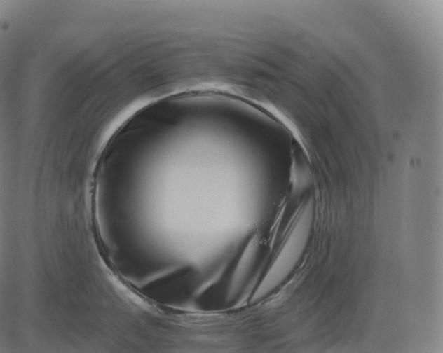 X0000082721151200702091806