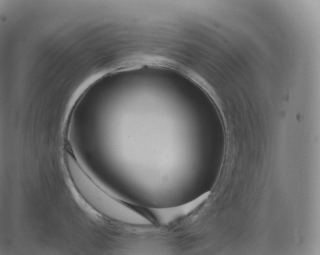 X0000082721152200702091806