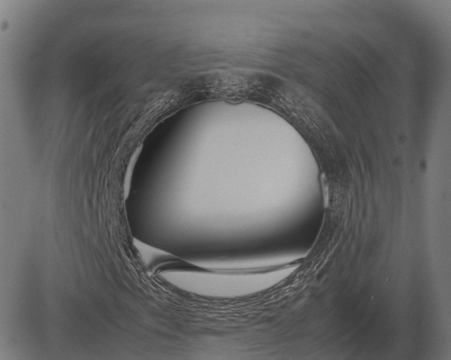 X0000082721153200702091805