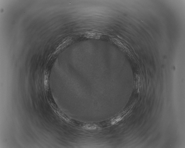 X0000082721154200702091805