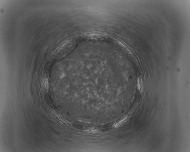 X0000082721155200702091805