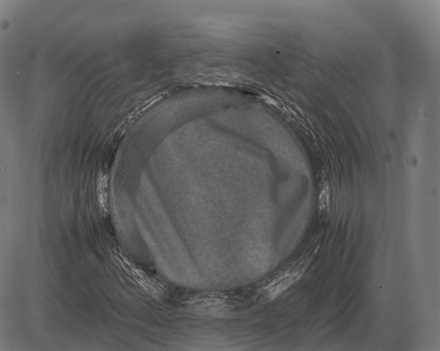 X0000082721156200702091805