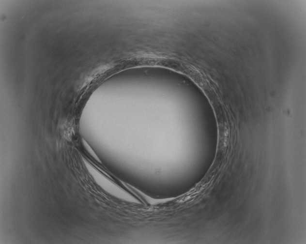 X0000082721157200702091805