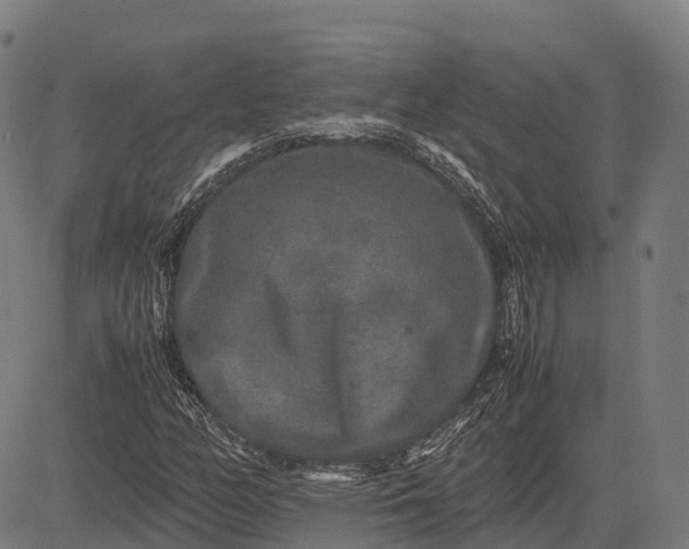 X0000082721158200702091805