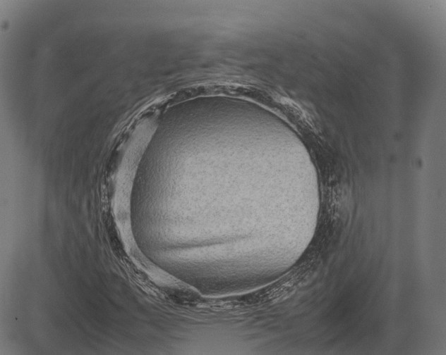 X0000082721159200702091805