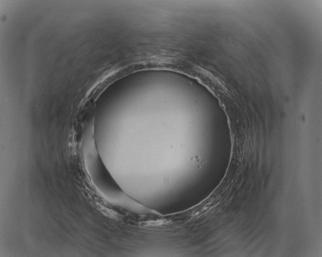 X0000082721160200702091805