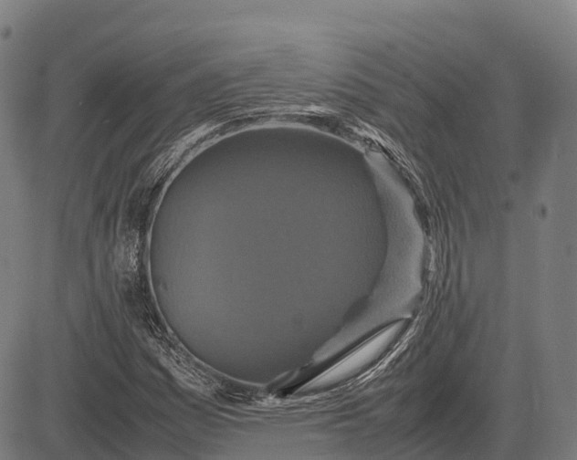 X0000082721161200702091805