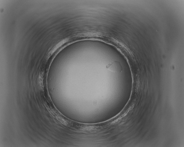 X0000082721162200702091805