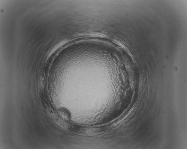 X0000082721163200702091805