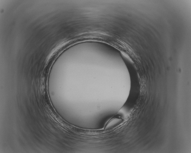 X0000082721164200702091805