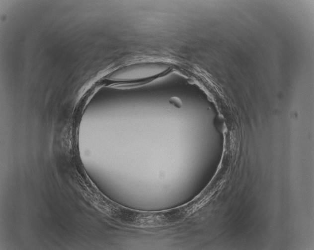 X0000082721165200702091805