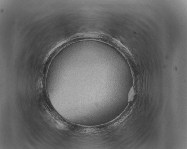 X0000082721166200702091805