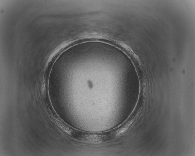 X0000082721167200702091805