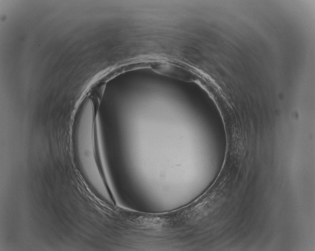 X0000082721168200702091805