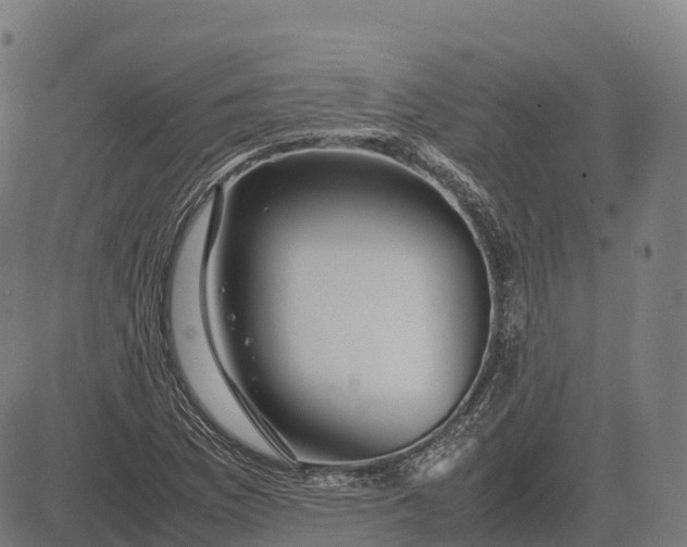 X0000082721169200702091805