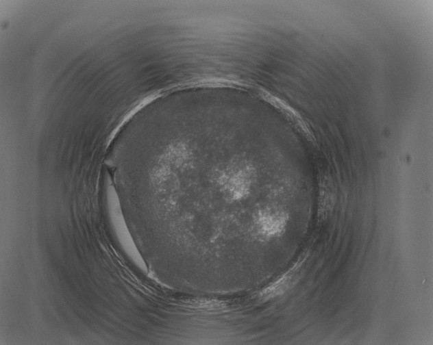 X0000082721170200702091805