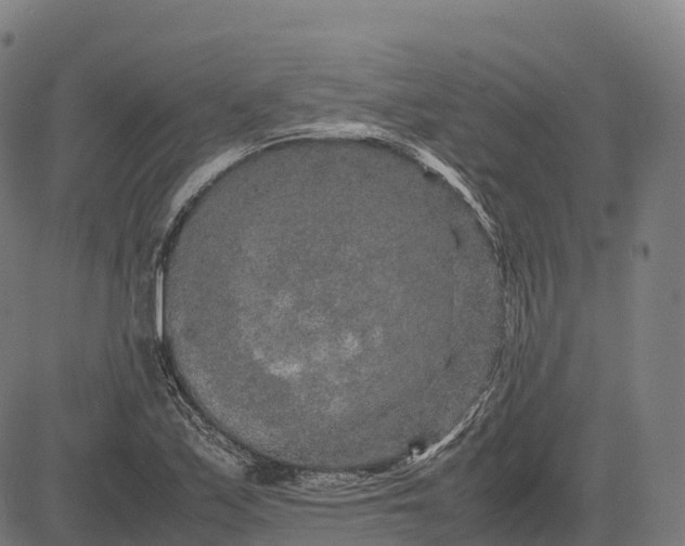 X0000082721171200702091805