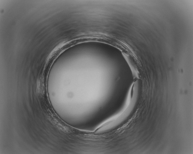 X0000082721172200702091805