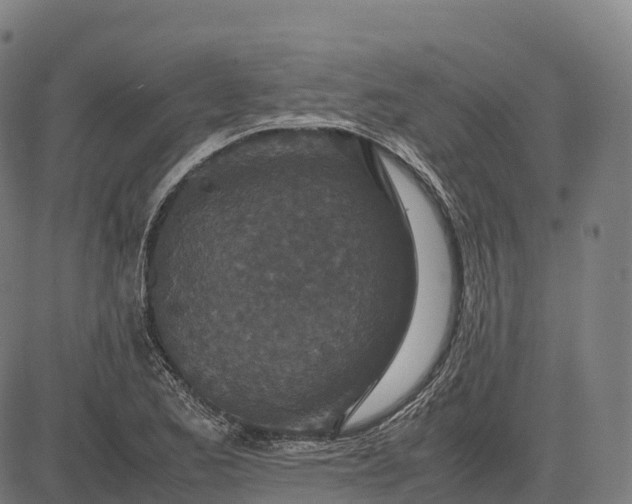 X0000082721173200702091805