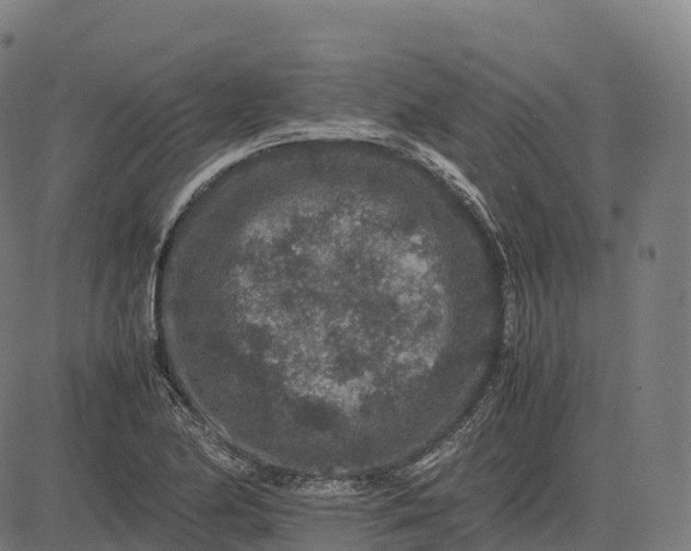 X0000082721174200702091805