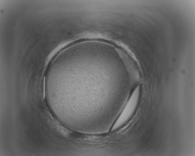 X0000082721175200702091805