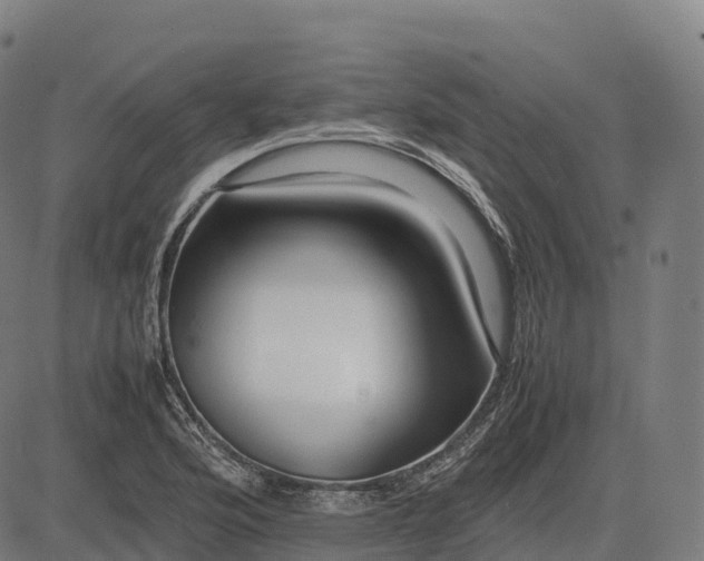 X0000082721176200702091805