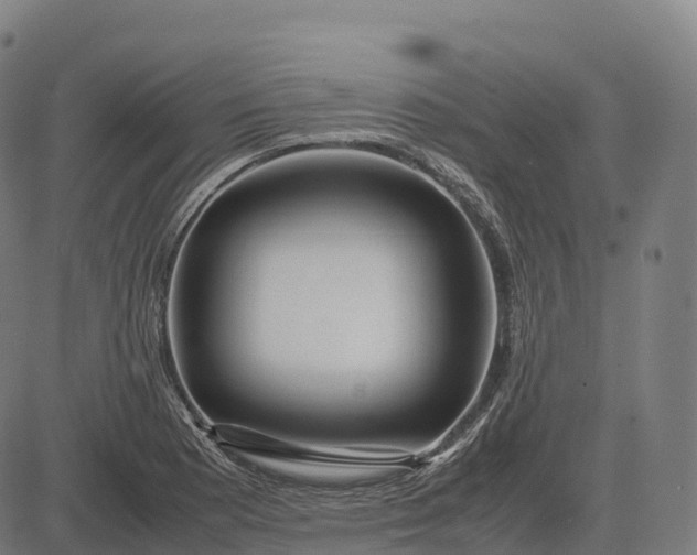 X0000082721177200702091805