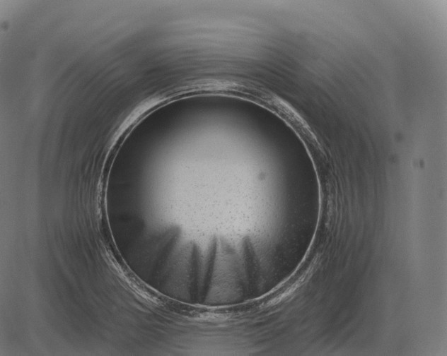 X0000082721178200702091805