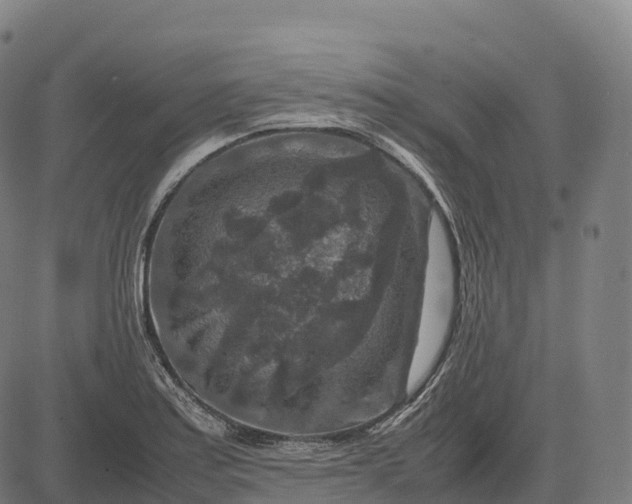 X0000082721179200702091805