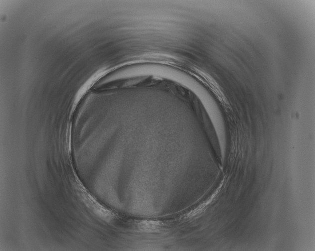 X0000082721180200702091805