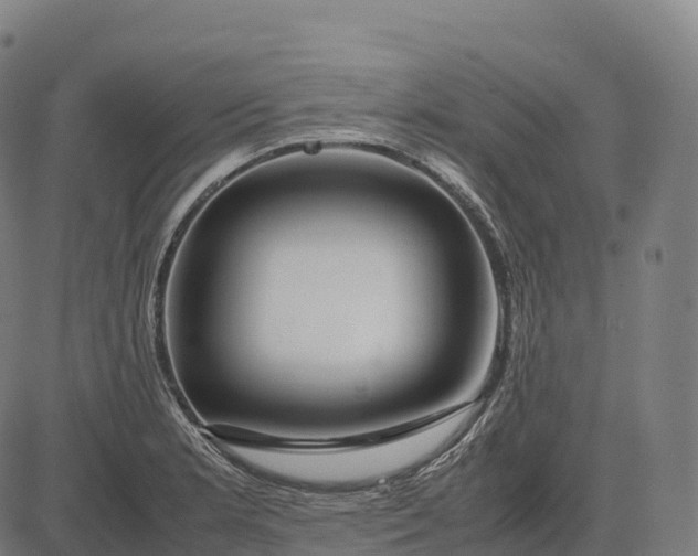 X0000082721181200702091805