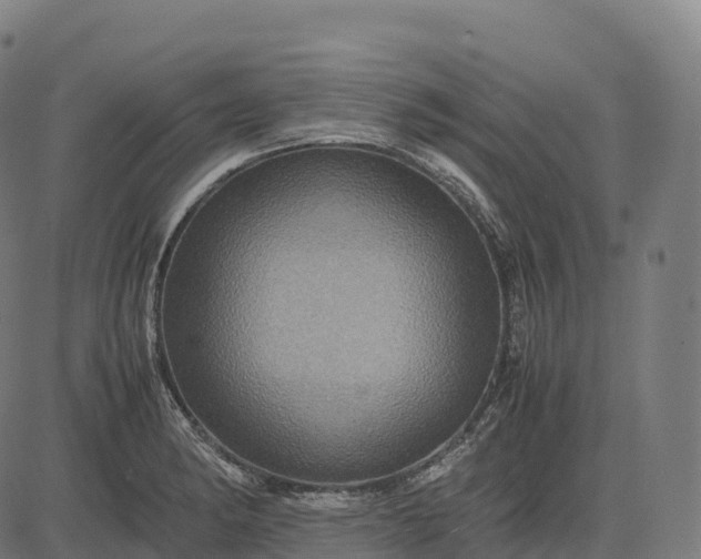 X0000082721182200702091805