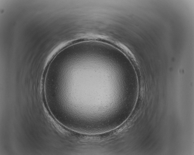 X0000082721183200702091805